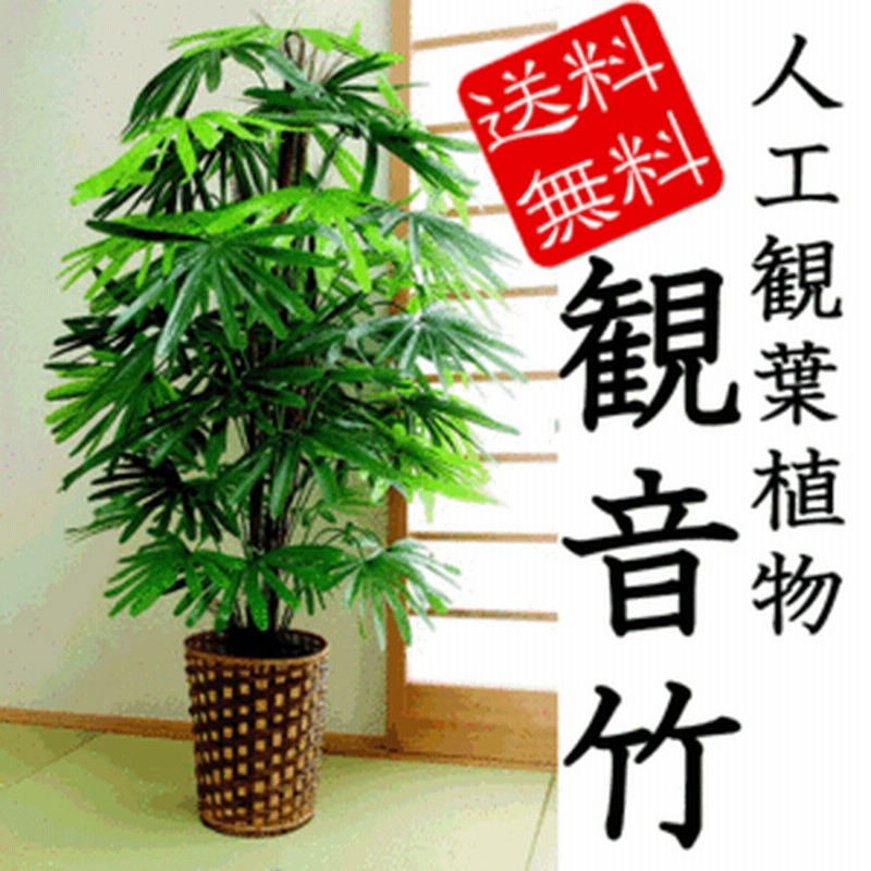 観音竹 人工観葉植物 鉢植え 大型 樹木 株立 インテリア グリーン 部屋 キレイ 無機質 空間 通販 Lineポイント最大1 0 Get Lineショッピング