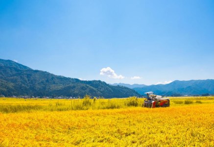 南魚沼産コシヒカリ新潟県 特A地区の美味しいお米。