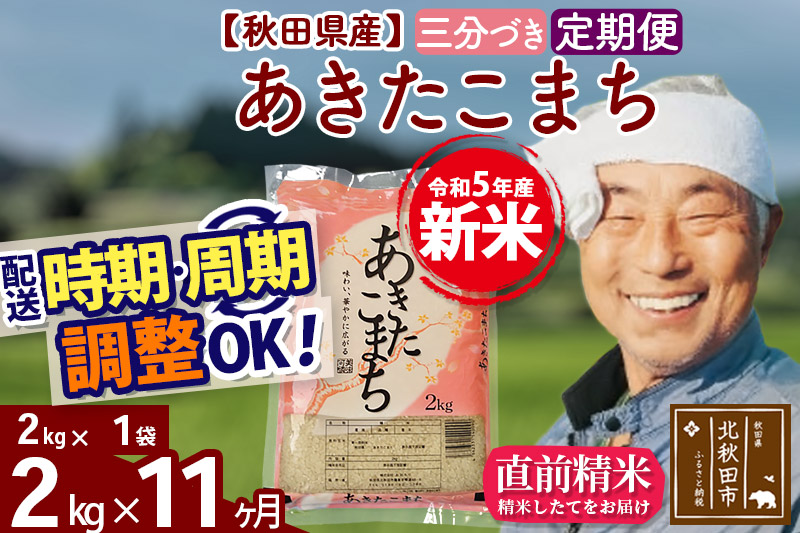 《定期便11ヶ月》＜新米＞秋田県産 あきたこまち 2kg(2kg小分け袋) 令和5年産 配送時期選べる 隔月お届けOK お米 おおもり|oomr-50111