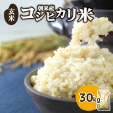 朝来産コシヒカリ米(30kg)《玄米》