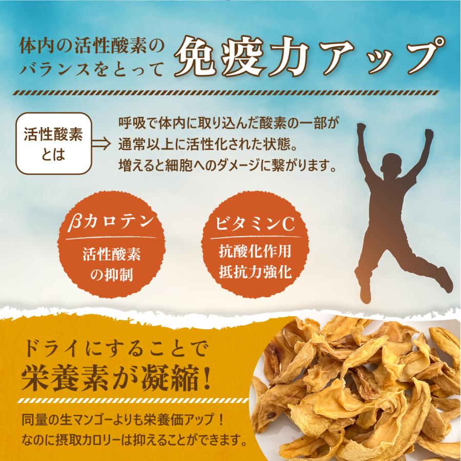 ドライマンゴー 有機 オーガニック 100g スリランカ マンゴー ドライフルーツ 砂糖不使用 無添加 有機JAS認証 美容 健康