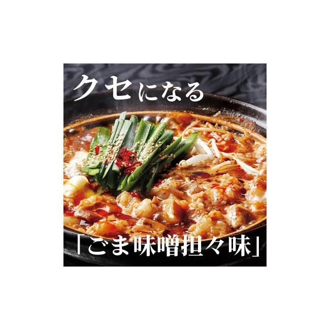 ふるさと納税 福岡県 福岡市 特製博多もつ鍋 2種味比べセット 醤油味／ごま味噌坦々味（各2〜3人前）