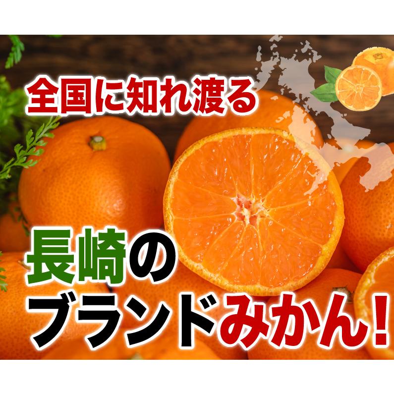 長崎 西海小玉みかん 5kg 3S〜Sサイズ混合 早生 糖度11〜13度 ちょっぴり訳あり ご家庭用 送料無料 産地直送 S常