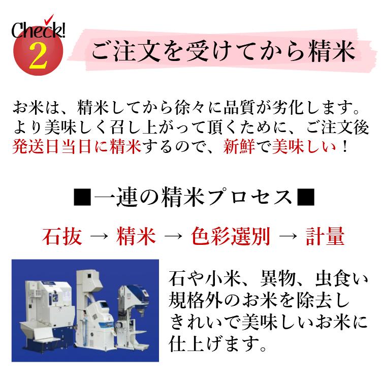 お米 コシヒカリ 精白米 5kg 会津産 送料無料 令和5年産 2023年産 こしひかり 米 こめ 精米