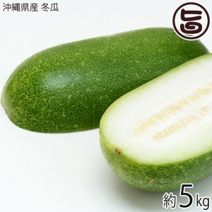 沖縄県産 冬瓜 5kg