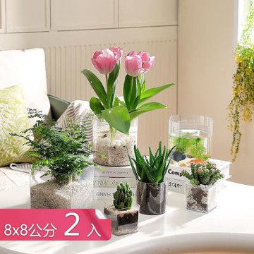 【荷生活】透明高圓水培植物PET材質花瓶 經久耐用防摔簡易高透園藝花瓶-8x8公分-2入組