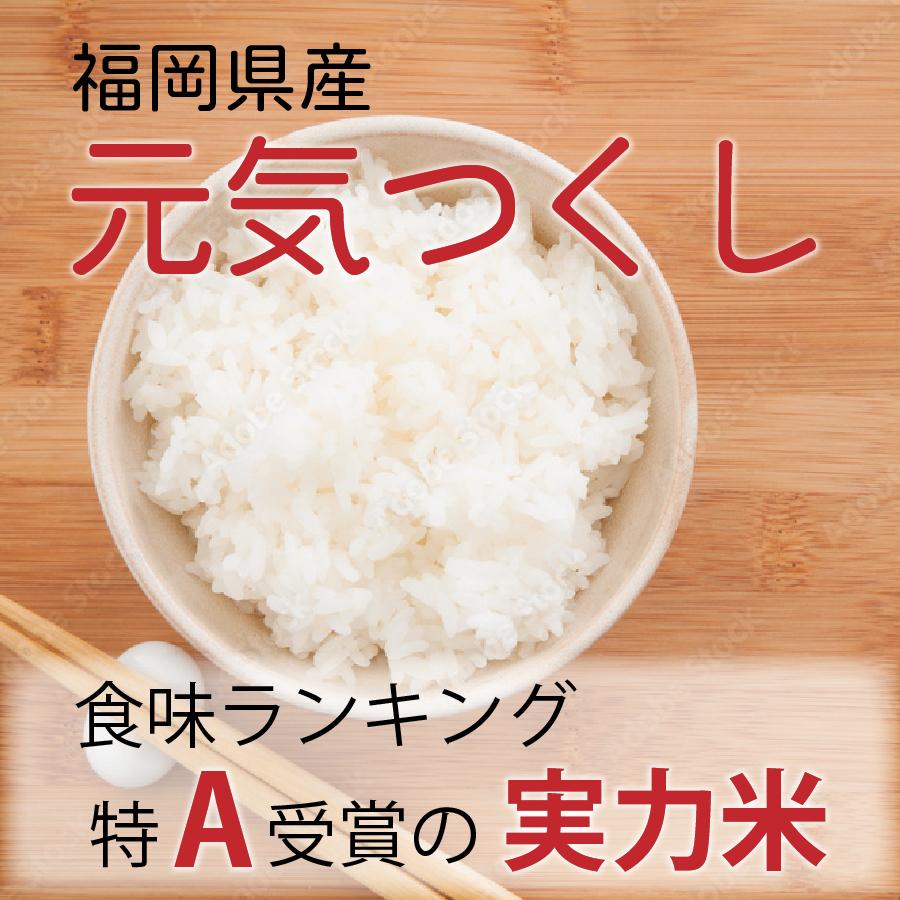 お米 福岡県産元気つくし 計4.5kg 1500g(150g×10)×3袋 令和3年産 あかふじ ぱきっと今日のごはん