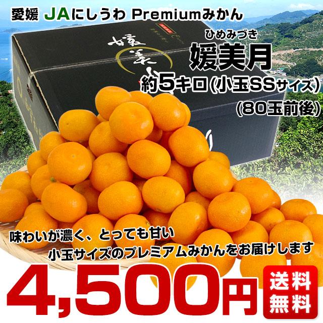 愛媛県より産地直送 JAにしうわ 西宇和プレミアムみかん「媛美月」小玉 SSサイズ 5キロ(80玉前後) 送料無料 蜜柑 ミカン ひめみづき