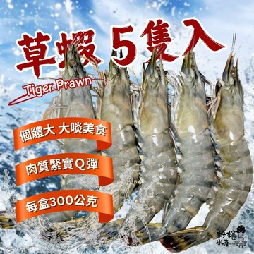 【好嬸水產】馬來西亞_活凍草蝦｜5隻｜約300克｜露營燒烤食材 肥虎蝦 草蝦批發 年菜必備 大蝦子 烤肉必備 火鍋配料