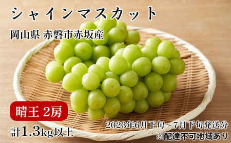 ぶどう 2024年 先行予約 シャイン マスカット 晴王  2房 合計1.3kg以上 2024年6月下旬～7月下旬発送分 ブドウ 葡萄 岡山県 赤磐市産 国産 フルーツ 果物 ギフト 赤坂青空市