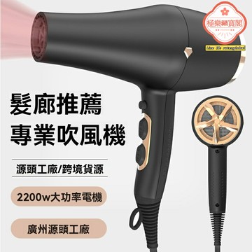 【沙龍大功率】負離子電吹風 吹風機 大功率吹風機 美髮專用 負離子護髮 三檔溫控 快速幹發 專業造型定製
