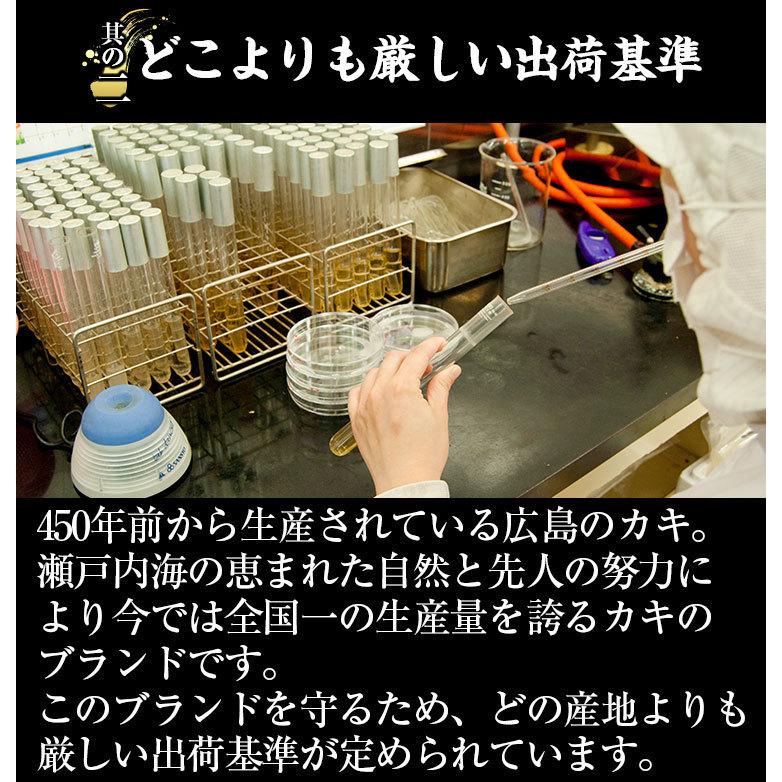 かき 牡蠣 カキ 16日に3340円に値上げ予定 2Lサイズ ジャンボ 広島かき剥身1kg 最大1200円OFFクーポン有 正味850g 約30粒 能美島清浄海域産 生牡蠣 個凍 加熱用