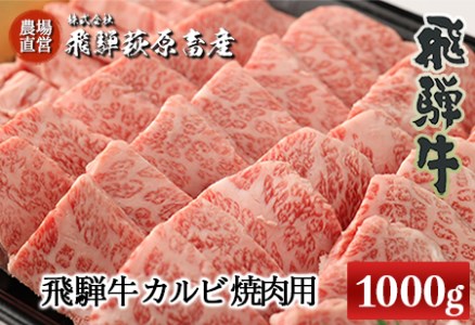 たっぷり大容量！飛騨牛カルビ焼肉用（1kg）最高級 国産 牛肉 ブランド牛 和牛 