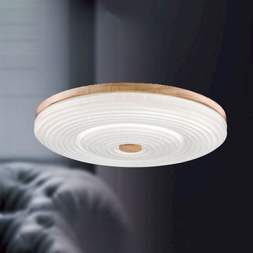 55W三色變光吸頂燈 B209-81-24786