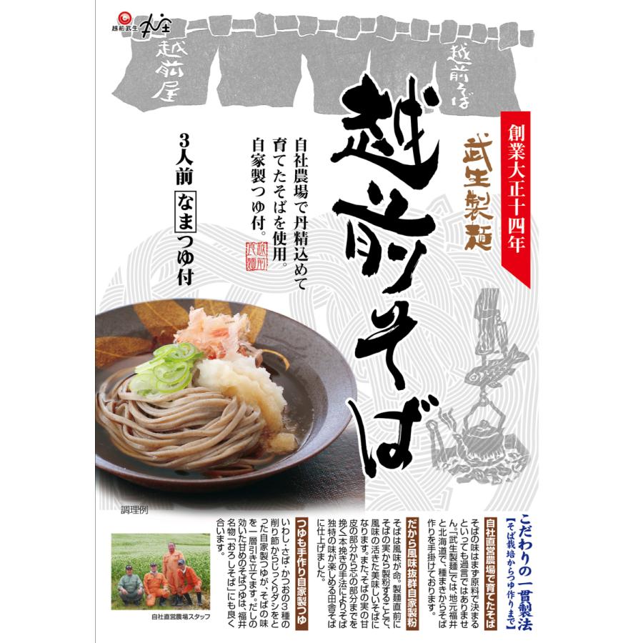 越前そば そば 半生麺 武生製麺 自家製つゆ付 福井