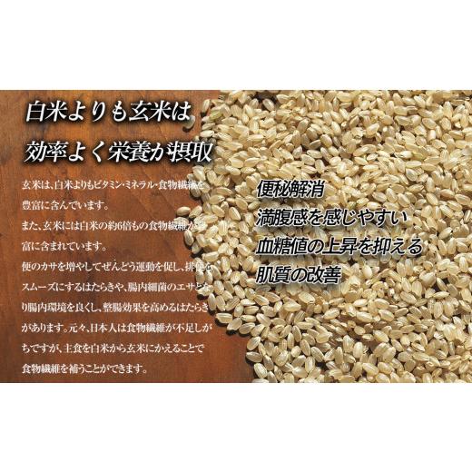 ふるさと納税 岩手県 矢巾町 岩手県矢巾町　徳田米の産地より「令和5年産銀河のしずく玄米　5kg」