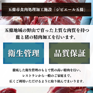 五條産ジビエ ～シカ肉セット600g～ お鍋や焼き肉等に！