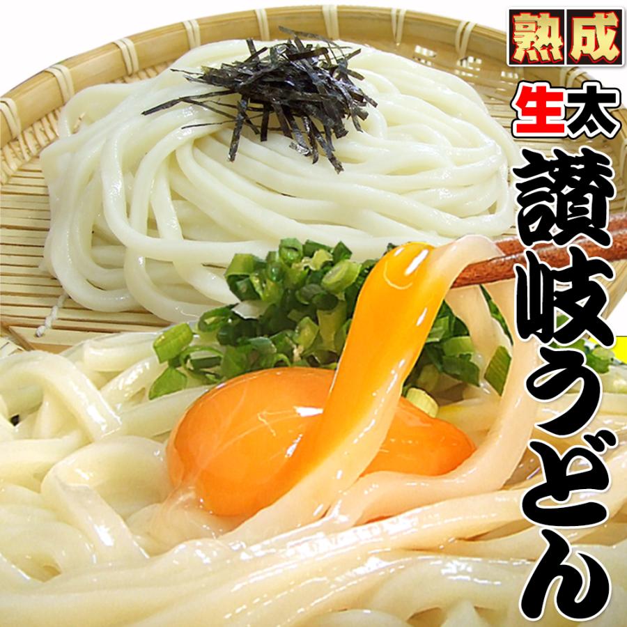 激ウマ 熟成 ちょい 生太 讃岐 うどん ドーンと 6食 便利な個包装 300g×2袋 600g 送料無料 最安値 挑戦