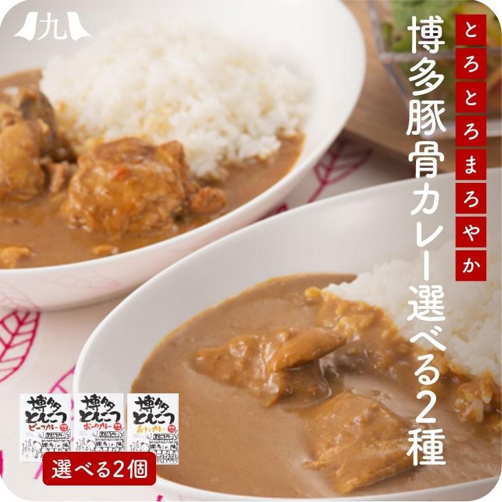 産地直送九州お取り寄せ　九州産　選べる　ご当地カレー　ビーフ　チキン　ポーク　送料無料