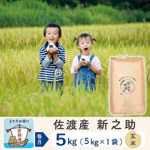  佐渡島産新之助 玄米5Kg