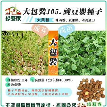 【綠藝家】大包裝J05.豌豆嬰種子1公斤(約4300顆) (豌豆芽菜種子)豌豆苗 種子 豌豆芽種子 芽菜種子