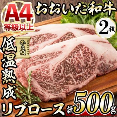 ふるさと納税 佐伯市 おおいた和牛 リブロースステーキ (計500g)