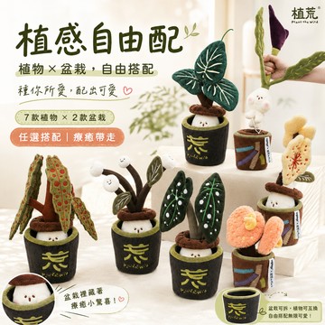 【植荒】DIY療癒盆栽組｜自由搭配植物與盆器・打造專屬植感生活