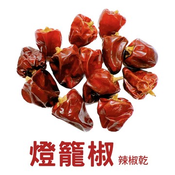 【養生堂】四川燈籠椒🌶 辣椒乾 麻辣鍋香料 提味用香辛料 香辛調味