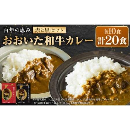 ふるさと納税 百年の恵み おおいた和牛カレー 赤と黒セット 各10個 計20個 大分県竹田市