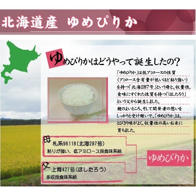 新米 5kg×2 北海道産 ゆめぴりか 10kg 精白米 白米 令和5年産 送料無料 特A