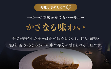 無添加(小箱入り175g×3箱)  カレー 但馬牛カレー 濃厚カレー とろすじカレー 京都府 福知山市 FCDA001