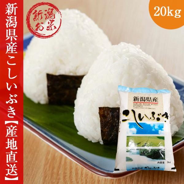 新潟こしいぶき 20kg(5kg×4)   令和5年度 コシイブキ 新米 白米 送料無料