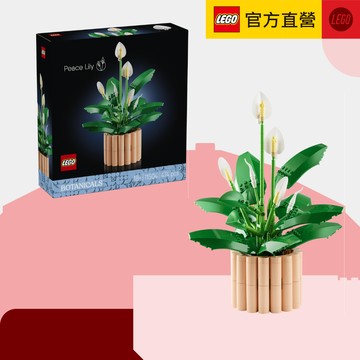 【LEGO樂高】 Botanicals 11504 白鶴芋✨花藝。居家擺設。生日禮物。喬遷。入厝。花束。情人。祝福。告白
