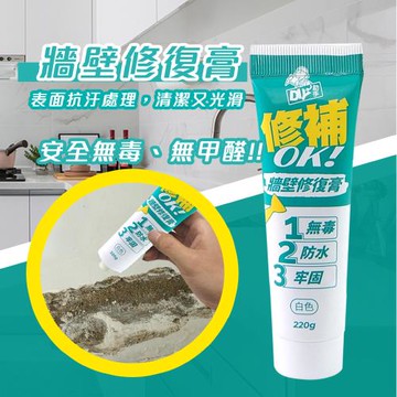 【互力精密】牆壁修復膏 贈刮刀 /速乾防水牆面修復膏 修補膏 牆面修補 牆壁修補 矽藻土 牆壁 牆面 壁癌