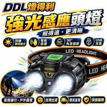 隔日到貨👍輕便型頭燈  LED頭燈 工作頭燈 露營燈 照明燈 登山 強光頭燈 工作頭燈 夜跑釣魚登山頭燈 充電頭燈 頭燈