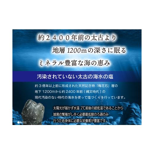 ふるさと納税 福岡県 北九州市 深海の恵み 関門の塩 合計500g (100g×5袋) ミネラル 塩 調味料 塩分濃度86.1％ カルシウム マグネシウム カリウム しお 少量 …