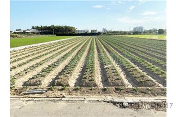 區段徵收旁都內農地｜台南市新市區大營段