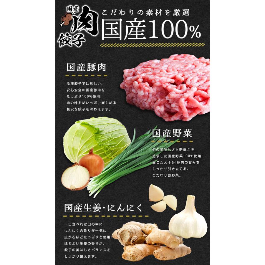 餃子 ぎょうざ ギョウザ ギョーザ gyouza 100個 国産 国産豚肉 国産野菜 豚肉 海老餃子 海老 えび エビ 中華 食品 冷凍 冷凍餃子 大容量 大量 美味しい ニンニク