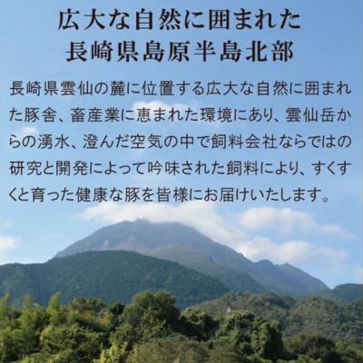 ふるさと納税 雲仙市 ハム・ベーコンセット 3種類