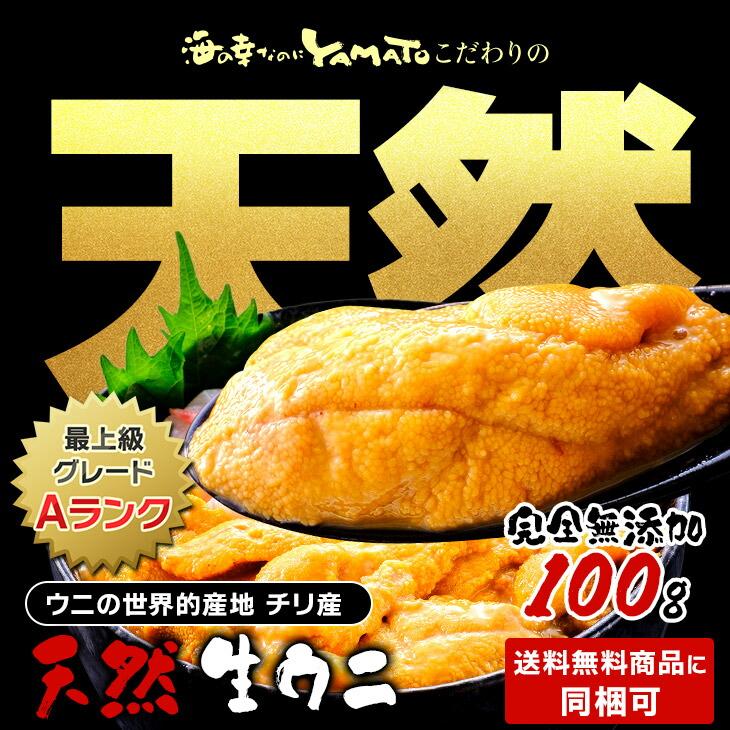 うに ウニ 天然生ウニ100g 雲丹 ミョウバン不使用 完全無添加 海鮮丼 軍艦 寿司