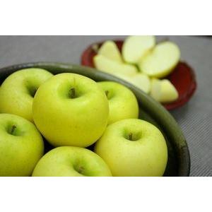 シナノゴールドりんご取寄販売 爽やかな酸味が特徴のシナノりんごを通販で。約5ｋｇ 約14玉〜約18玉 山形・長野・他産地