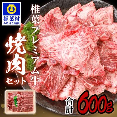 ふるさと納税 椎葉村 宮崎県産 椎葉プレミアム牛 焼肉セット