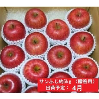 ふるさと納税 4月発送CA貯蔵  百年木の香 サンふじ 約5kg 有機肥料100％ 青森県弘前市