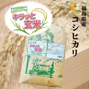 新米 玄米 米 10kg コシヒカリ お米 10kg×1袋 キラッと玄米 令和5年産 福島県産 送料無料 こしひかり 調整済み玄米 米 10キロ