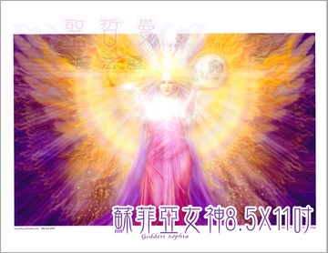蘇菲亞女神 Sophia【8.5*11吋美國進口正版作品】- 揚升大師系列畫