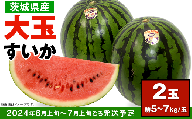 12-24茨城県産大玉すいか2玉セット（約5～7kg 玉）