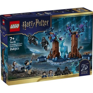 ||高雄 宅媽|樂高 積木|| LEGO“76475 禁忌森林 : 疾疾，護法現身 催狂魔 阿茲卡班的逃犯“