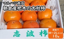 訳あり 柿 太秋柿 M～2Lサイズ×10個入 マルハツ商店 配送不可：離島