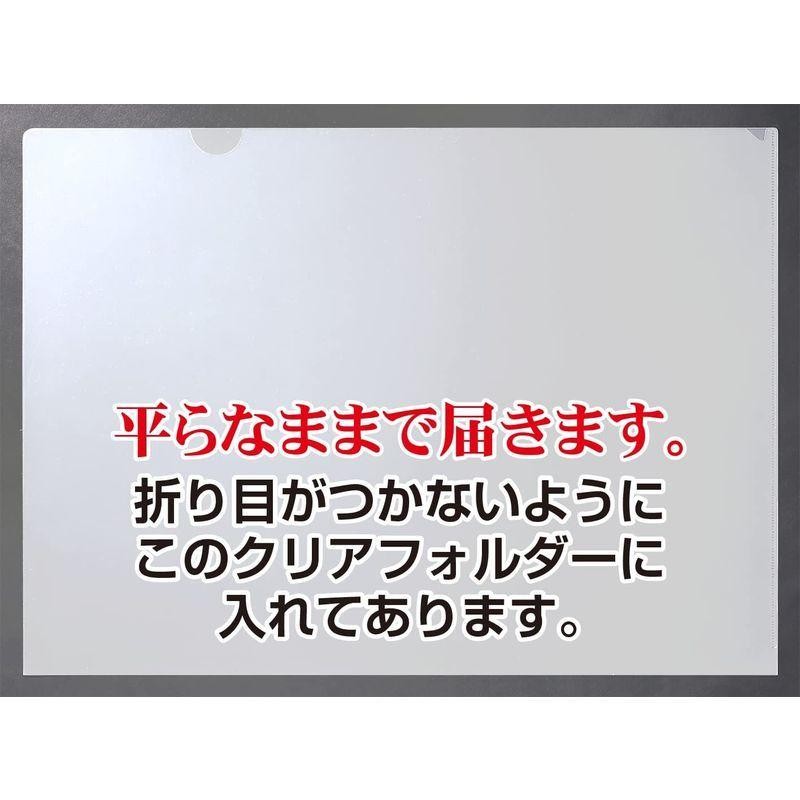 東洲斎写楽 『 二世大谷鬼次の奴江戸兵衛 ( 浮世絵 日本画