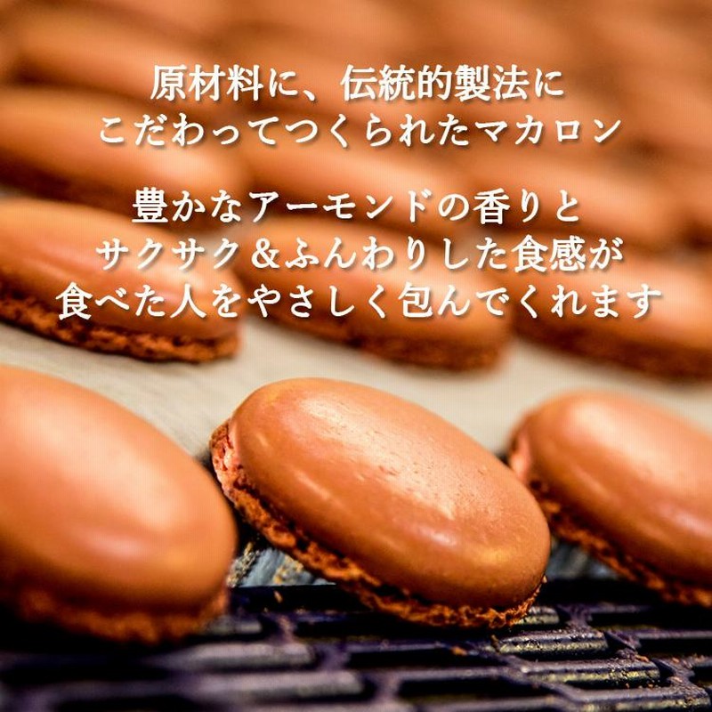 シャトーブラン 12マカロン 144g（12個）冷凍 フランス直輸入